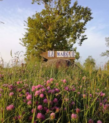 entrée de la ferme au printemps