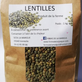 Lentilles vertes 1 kg