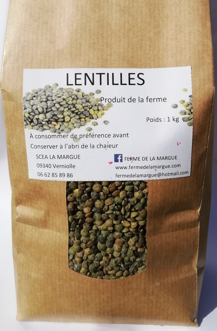 Lentilles vertes direct producteur - Maison Fraysse 
